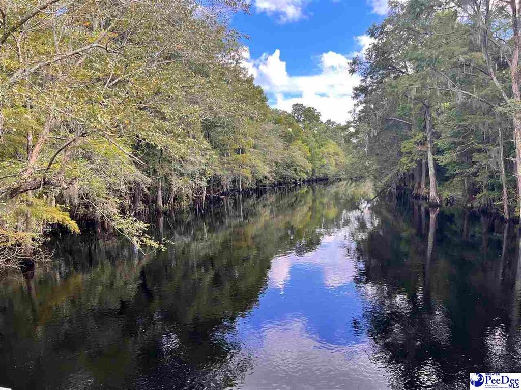 Buck Swamp Rd, Fork, SC 29543 Trulia