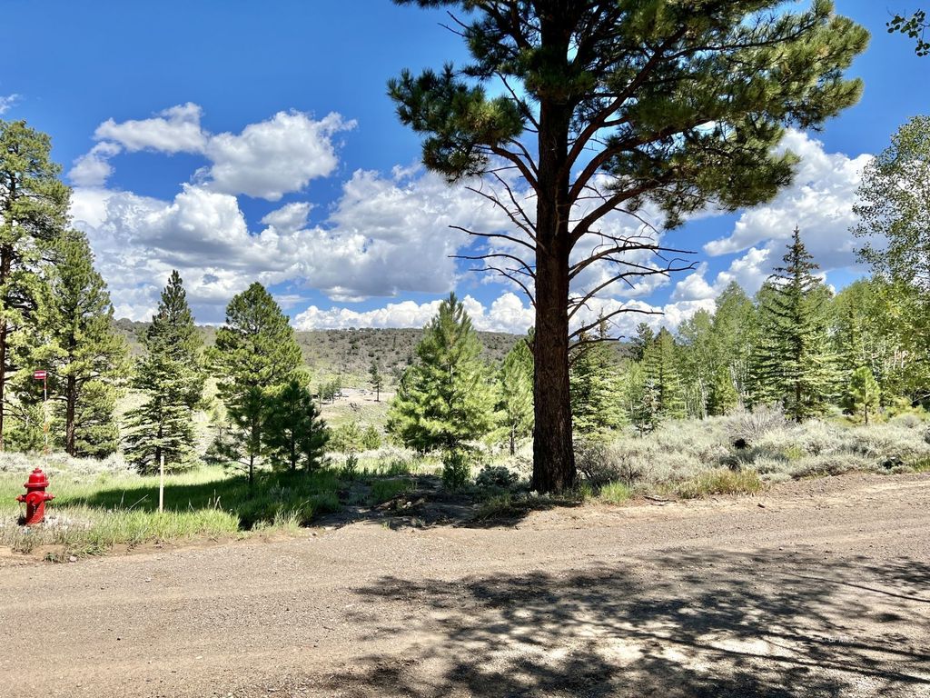 445 N Ipson Creek Dr, Panguitch, UT 84759 Trulia