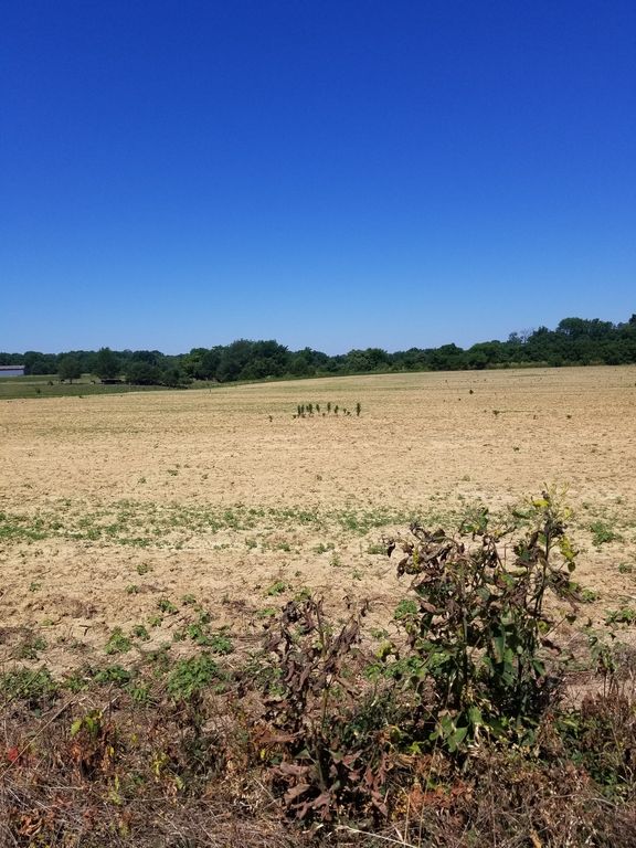 Law Rd 4, Lafayette, TN 37083 MLS 2471604 Trulia