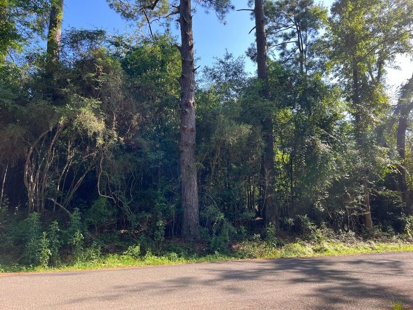 Fullerton Blacktop Rd, Pitkin, LA 70656 Lot/Land for Sale MLS 484