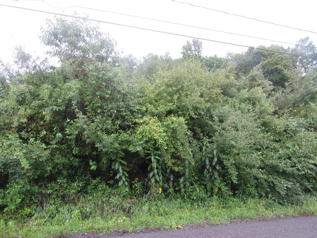Settlement Point Rd 565, Du Bois, PA 15801 MLS 1213121 Trulia