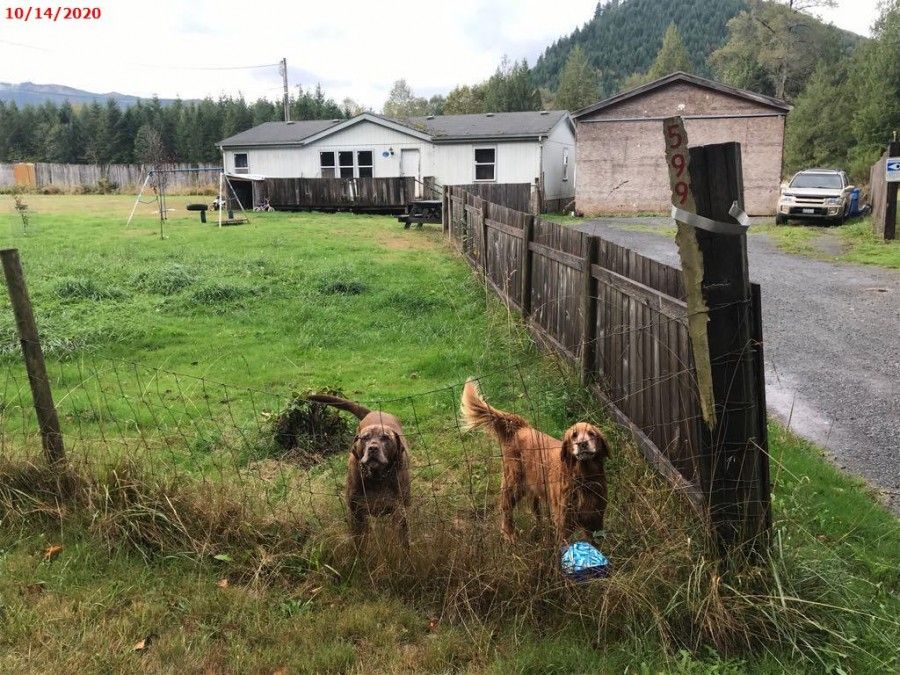 599 Mineral Creek Rd, Morton, WA 98356 Trulia