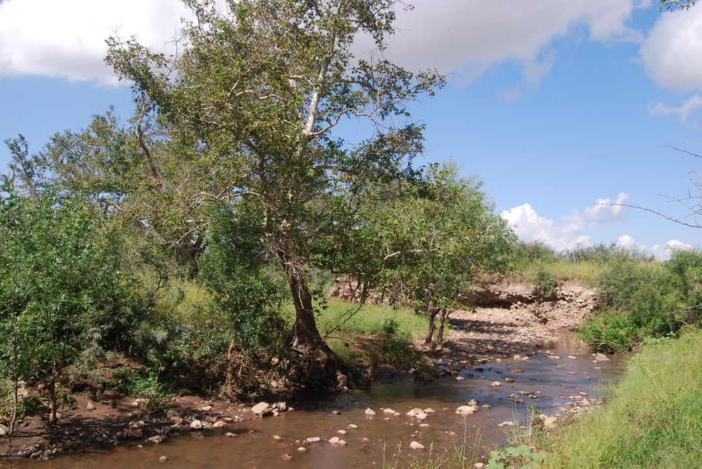 E Turkey Creek Rd, Pearce, AZ 85625 - Studio Lot/Land - MLS# 21903336