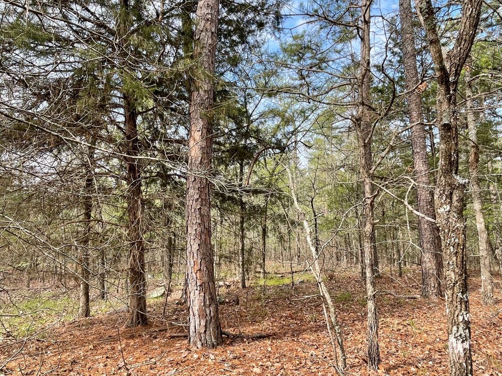 329 Antlers Reserve, Antlers, OK 74523 MLS 11271652 Trulia