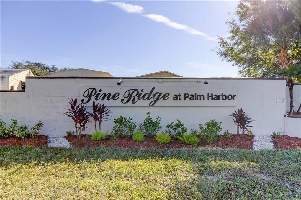 2361 Pine Ridge Way  S  #D-1, Palm Harbor, FL 34684