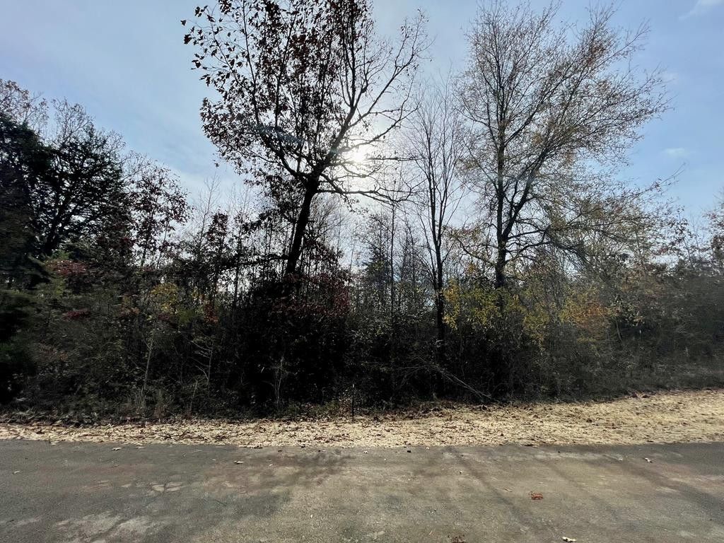 Ten Mile Rd, Ten Mile, TN 37880 Trulia