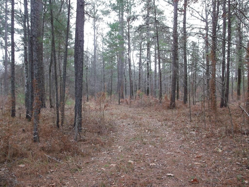 Homochitto Forrest Rd 104D, Meadville, MS 39653 Lot/Land for Sale