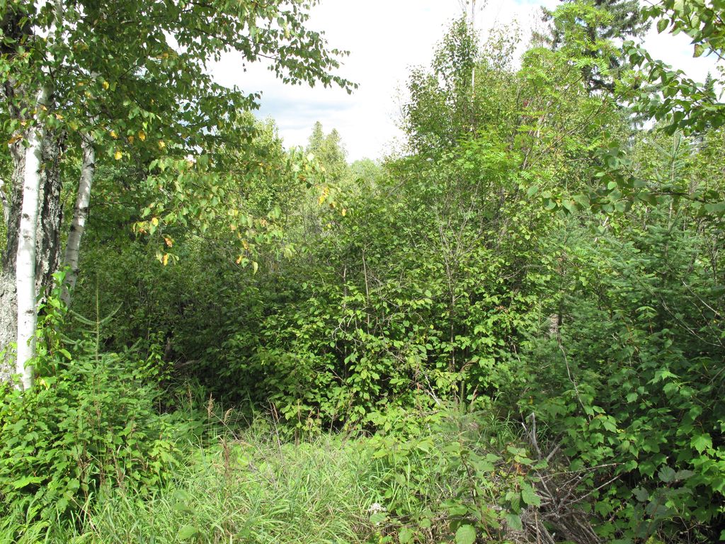 4XX N Pike Lake Rd, Grand Marais, MN 55604 Trulia