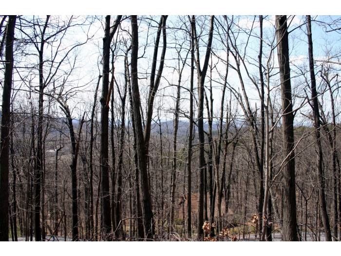 7 Jonathan Rd, Linden, VA 22642 Trulia