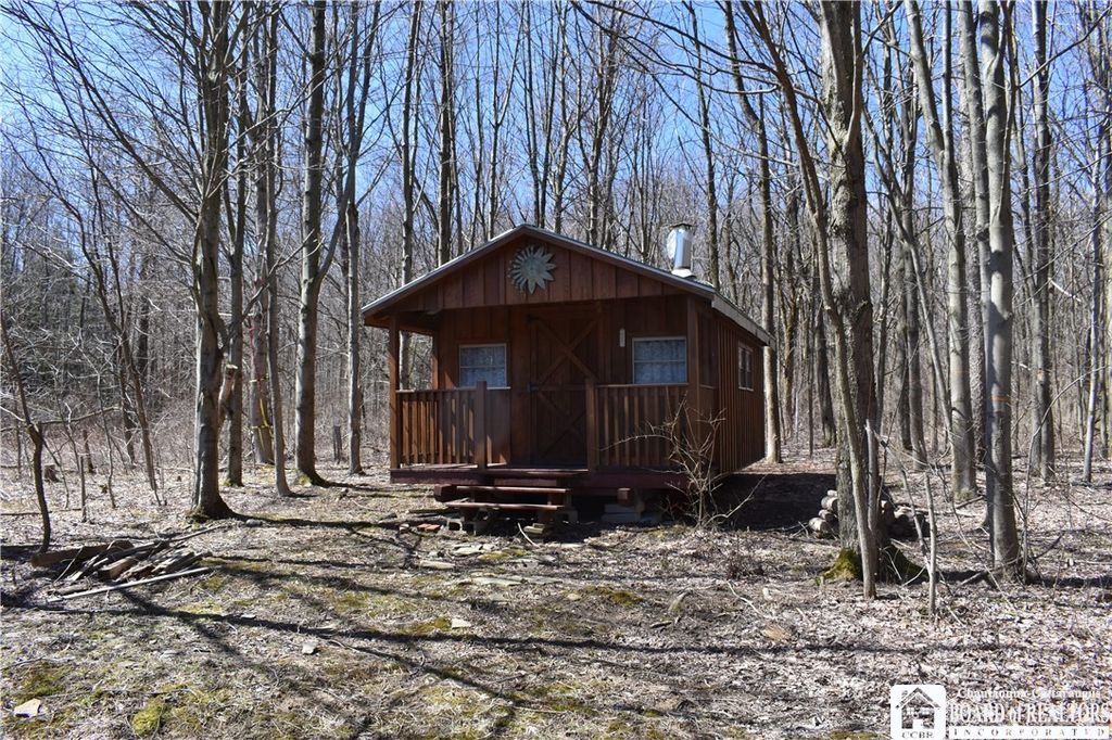 Mezzio Rd, Forestville, NY 14062 Trulia