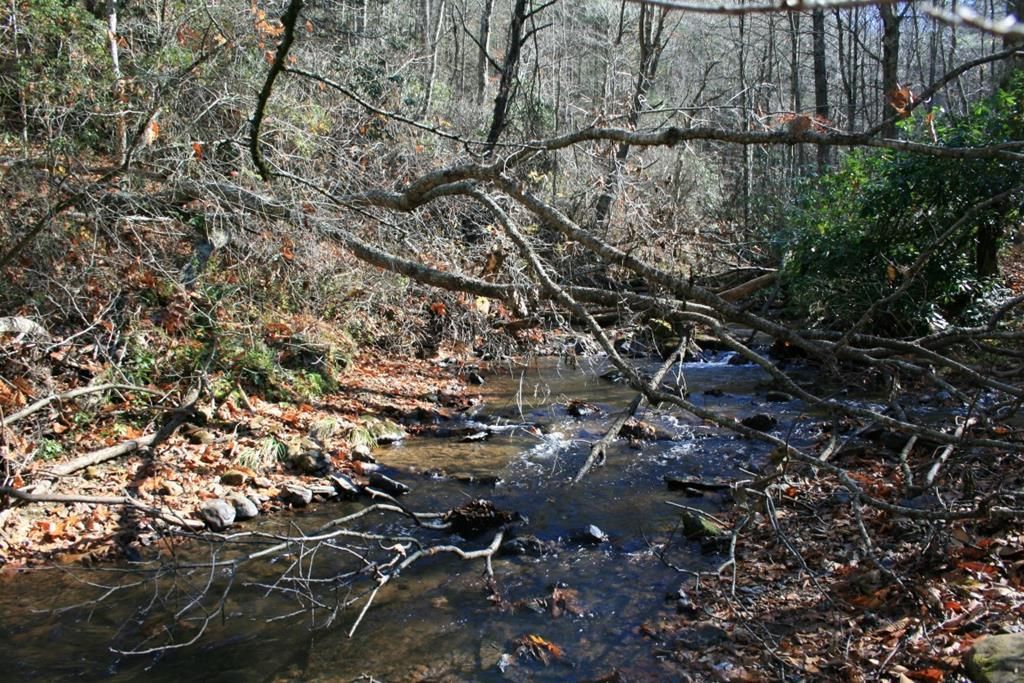 Fireside Dr, Laurel Fork, VA 24352 Trulia