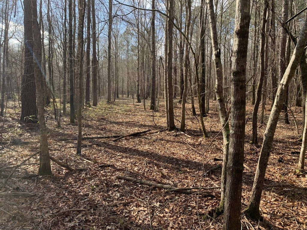 Old Highway 25, Aberdeen, MS 39730 Trulia