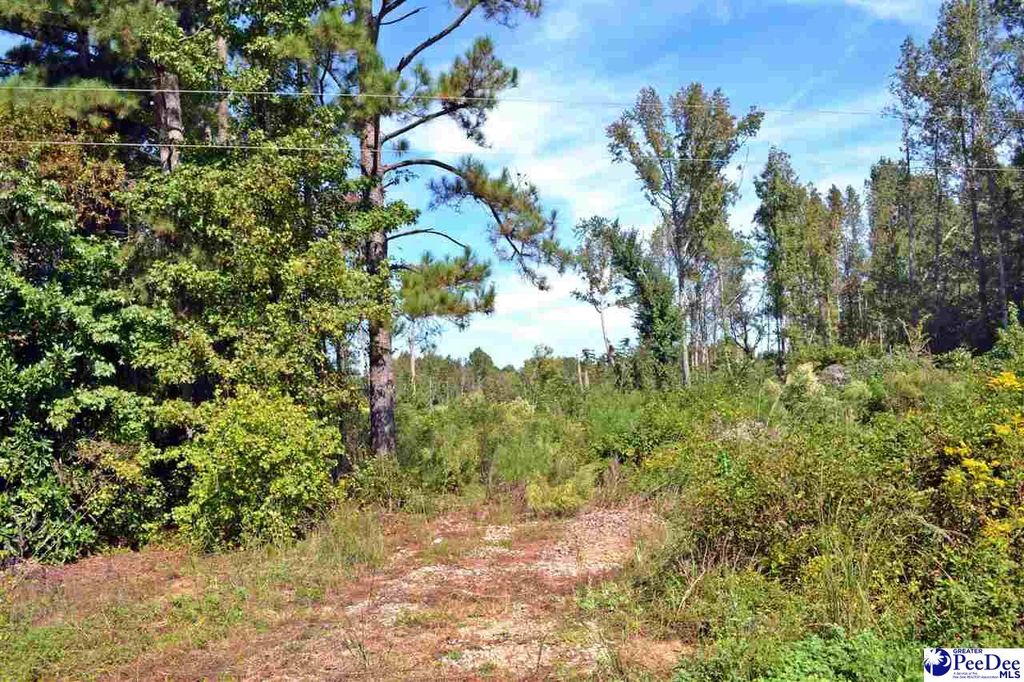 Highway 9 & Sandhills Rd, Wallace, SC 29596 Trulia