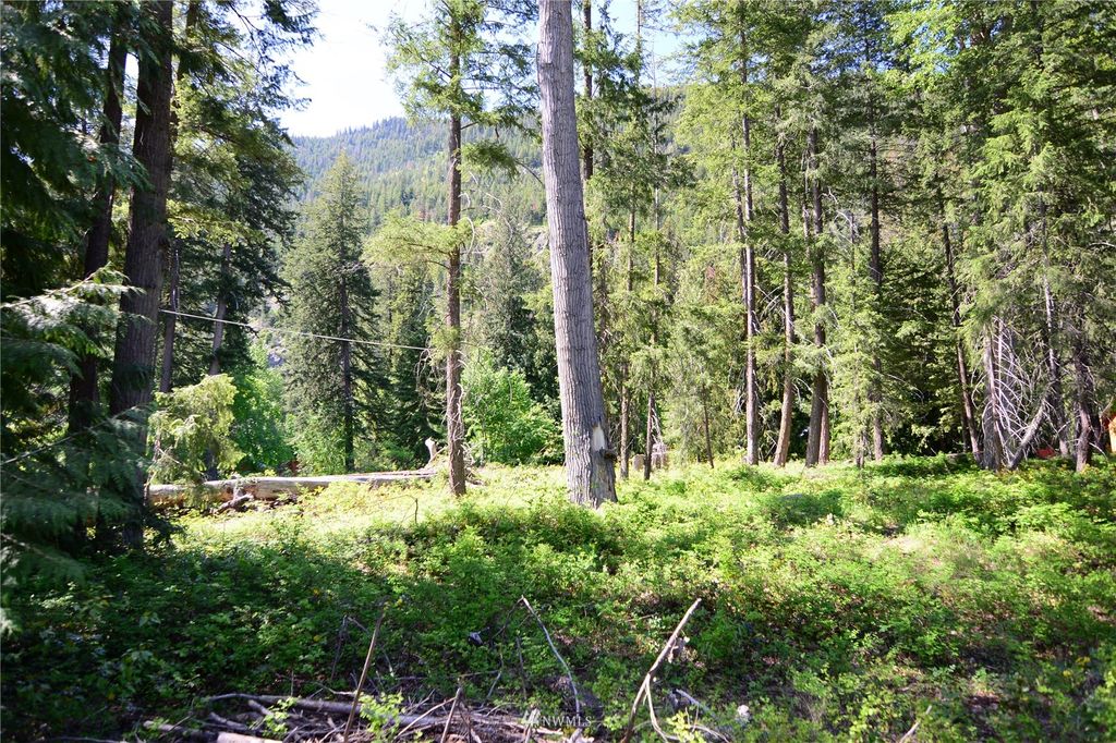 4 Misty Circle, Mazama, WA 98833 Trulia