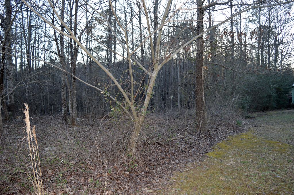 Cedar Crest Lane, Talladega, AL 35160 Trulia