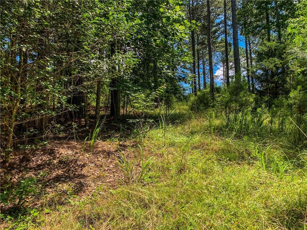 2 Spring Cove Way 6, Six Mile, SC 29682 Trulia