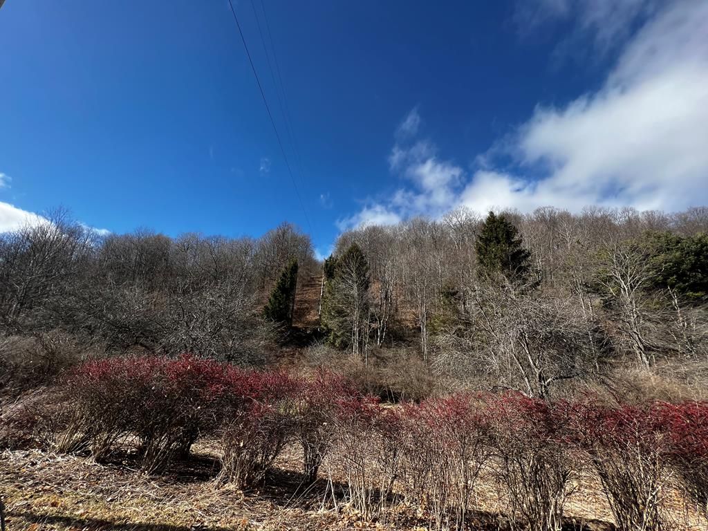 383 S Dry Run Rd, Coudersport, PA 16915 Trulia