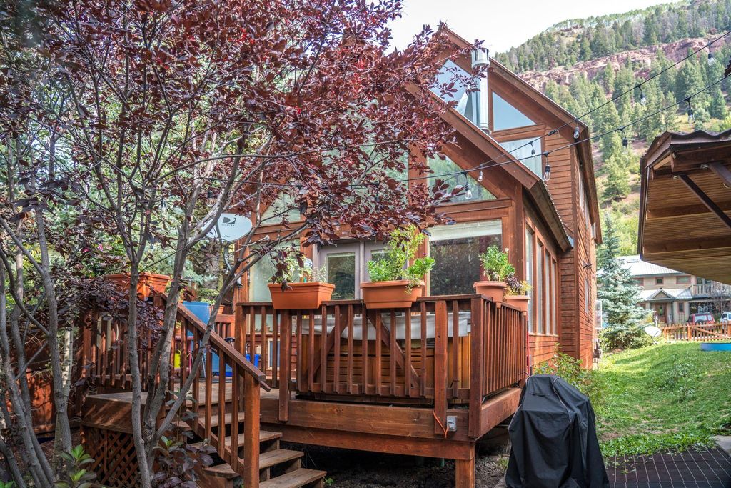 580 W Galena Ave, Telluride, CO 81435