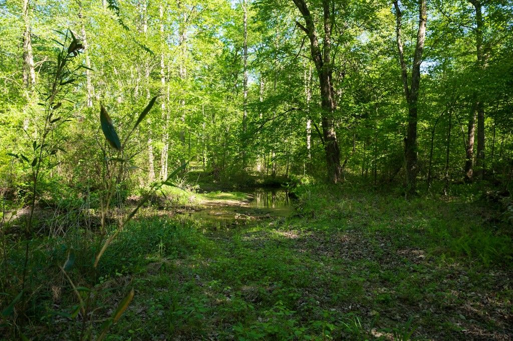 Lakewood Park Rd, Beechgrove, TN 37018 Trulia