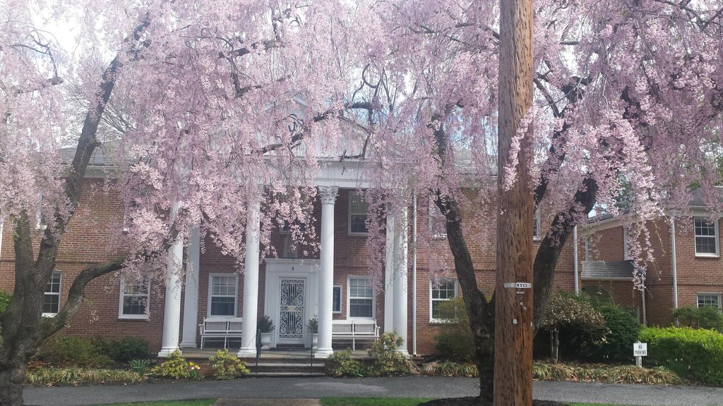 4 Upland Rd, Baltimore, MD 21210