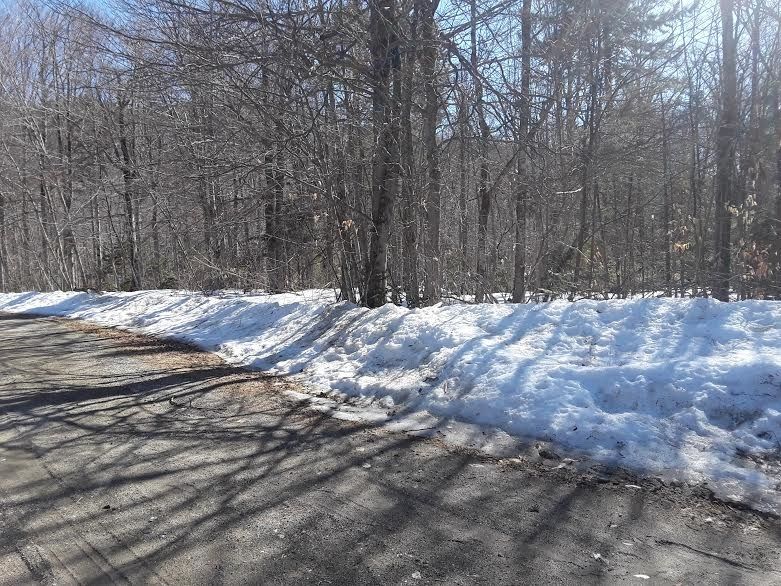 0 Woodburn Road Lot 5, West Townshend, VT 05359 Trulia