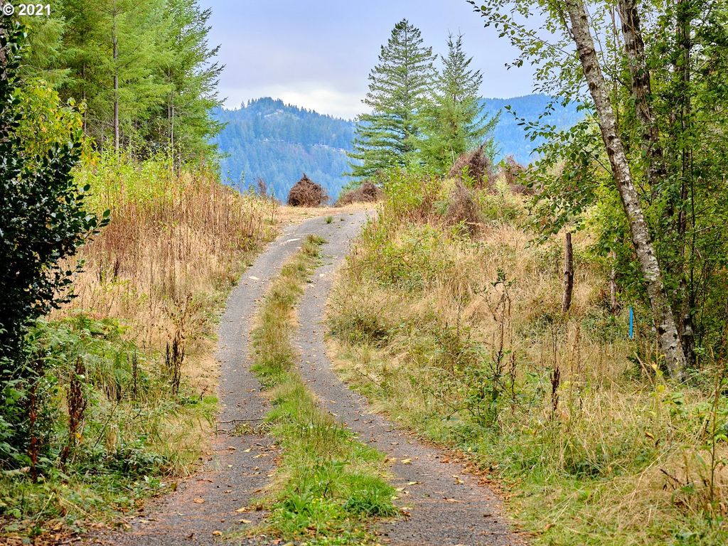 1 Ham Rd, Amboy, WA 98601 Trulia