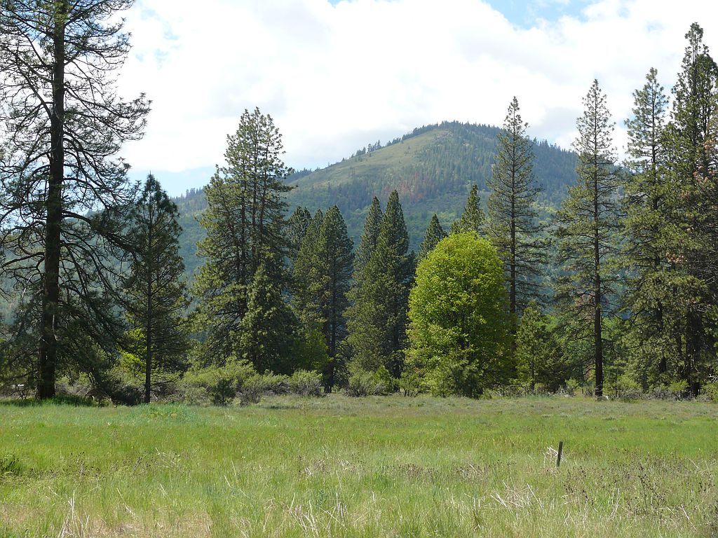 Walker Road Glenburn, Fall River Mills, CA 96028 Trulia