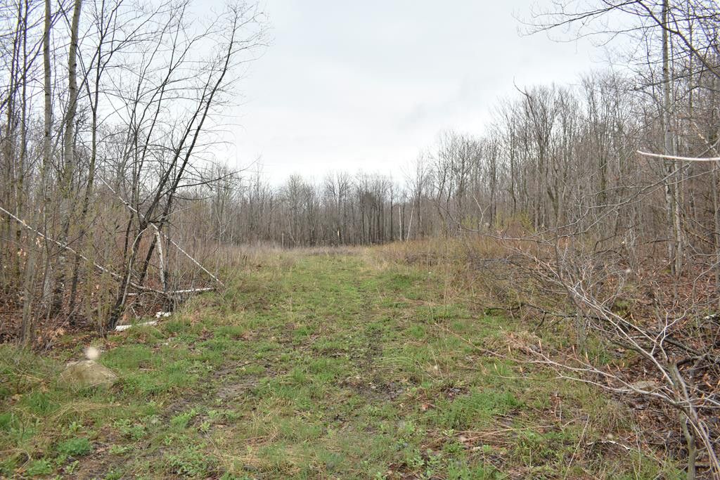 Alder Bend Rd, Ellenburg Depot, NY 12935 Trulia