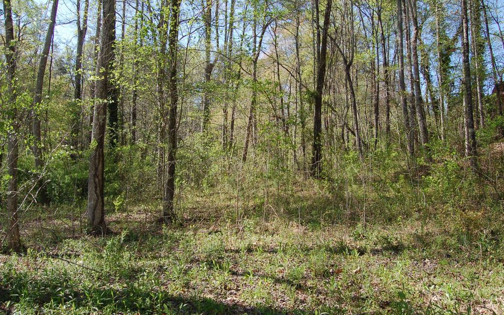 14 Chatuge Village Cir, Hayesville, NC 28904 MLS 325171 Trulia