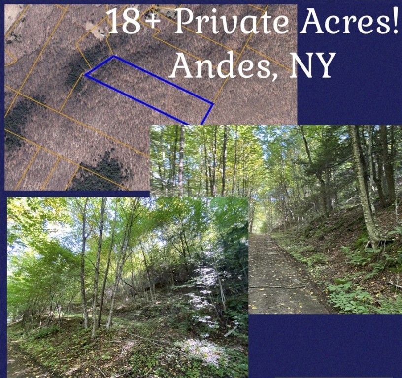 Davis Hollow Rd, Andes, NY 13731 Trulia