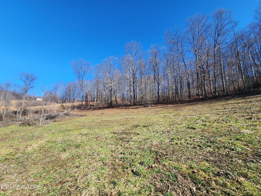 Tract 1 Dooley Hollow Rd, Ewing, VA 24248 MLS 1251921 Trulia
