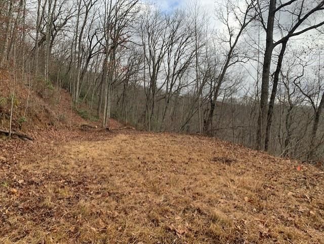 36 Hickory Cove Rd, Bryson City, NC 28713