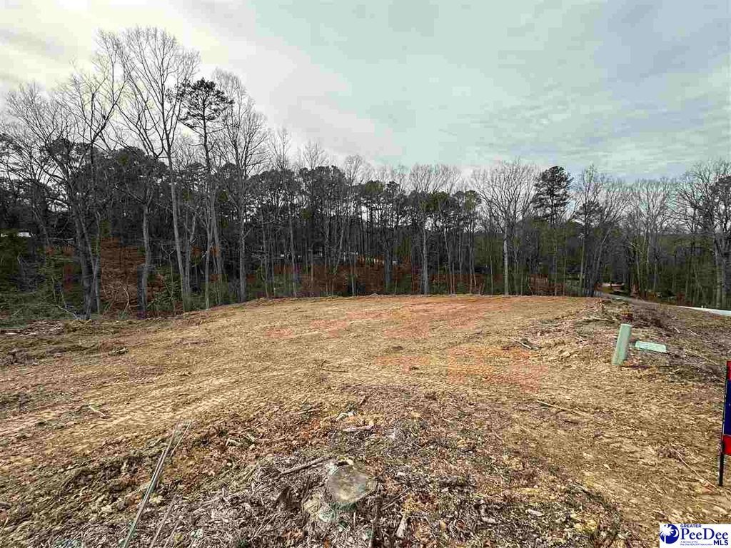 LOT Green St, Chesterfield, SC 29709