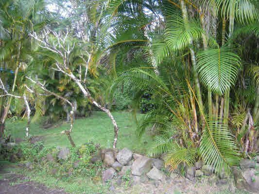 15-2733 Maikoiko St, Pahoa, HI 96778