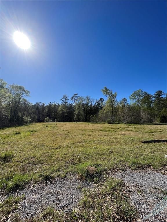 19779 Craig Mack Ln, Walker, LA 70785 Trulia