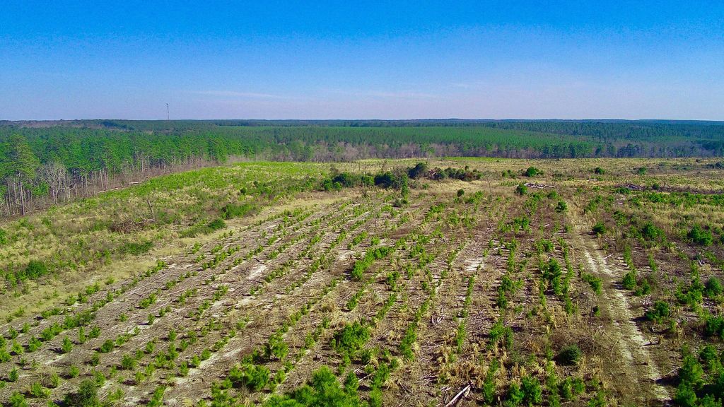 Xx Three Notch Rd, Ridge Spring, SC 29129