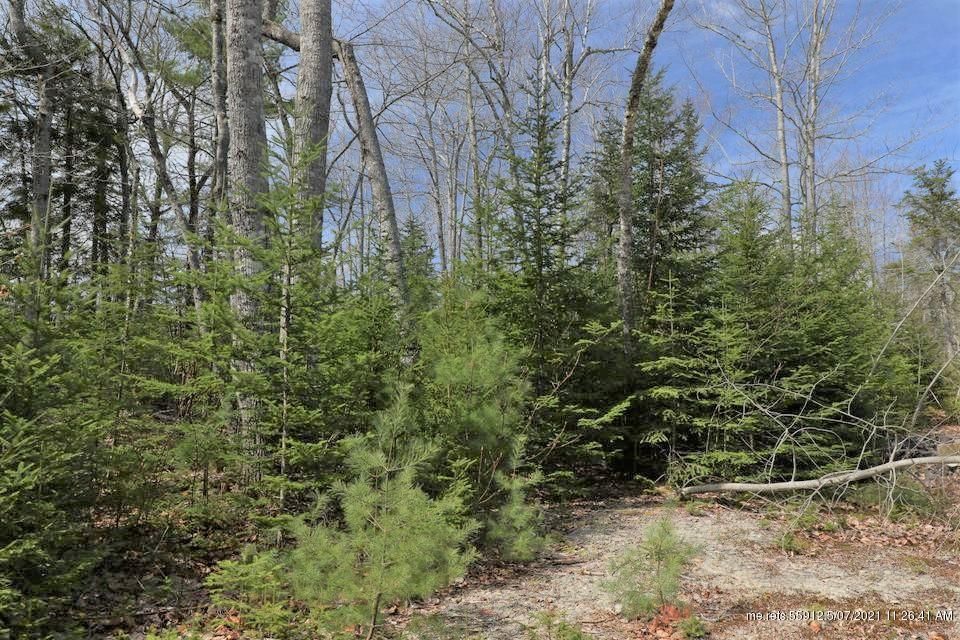 5 Wendall Woods Ln, Blue Hill, ME 04614