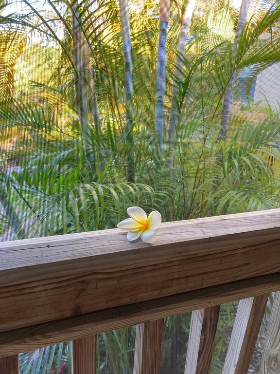687 Crane Blvd, Sugarloaf Key, FL 33042