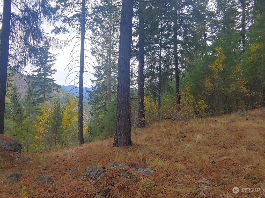 0 NNA Ingalls Creek, Peshastin, WA 98847 MLS 2181583 Trulia