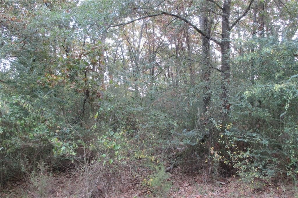 Wildcat Mt. Rd, Magazine, AR 72943 Trulia