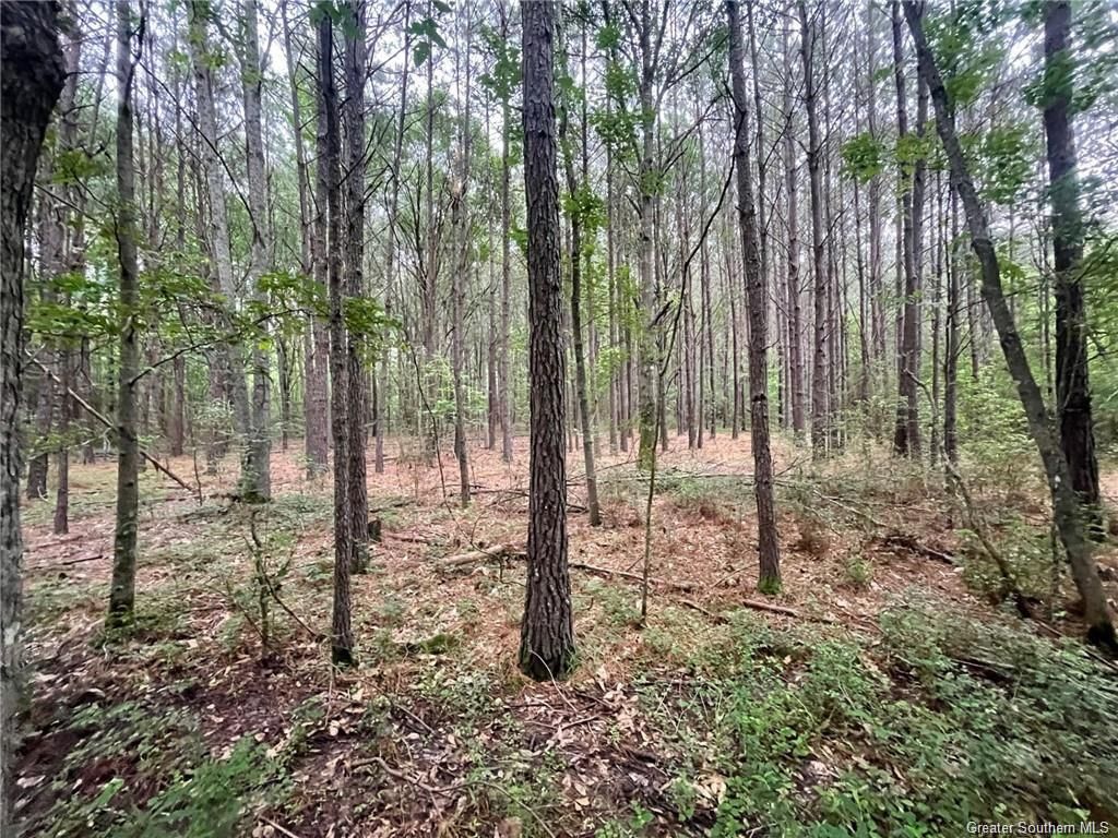 431 Camp Coyote Rd, Elton, LA 70532 Trulia