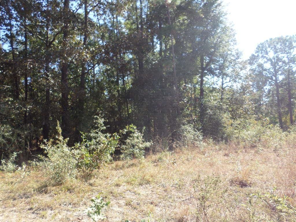 Lots 574 Martin Dr, Donalsonville, GA 39845 Trulia