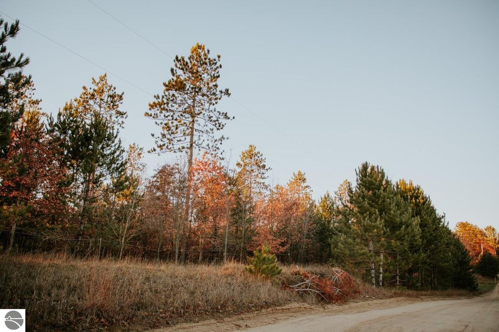 Roop Rd, Kingsley, MI 49649 Trulia