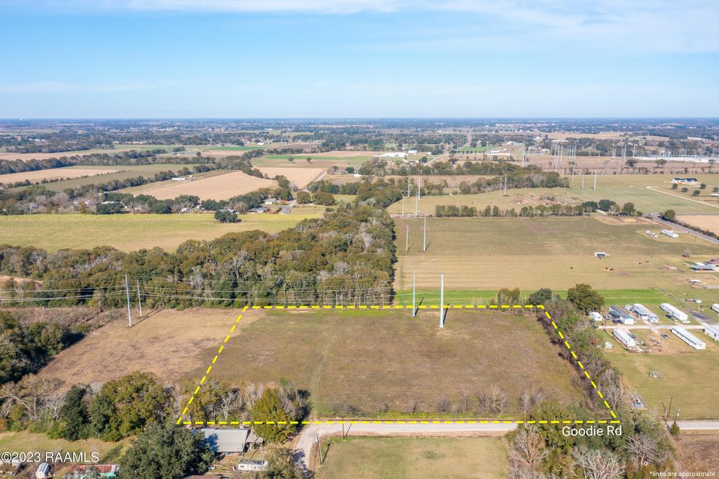 100 Goodie Rd, Maurice, LA 70555 Lot/Land for Sale MLS 23011193