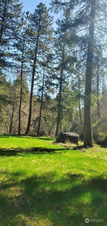 6831 S Fork Coppei Road, Dixie, WA 99329