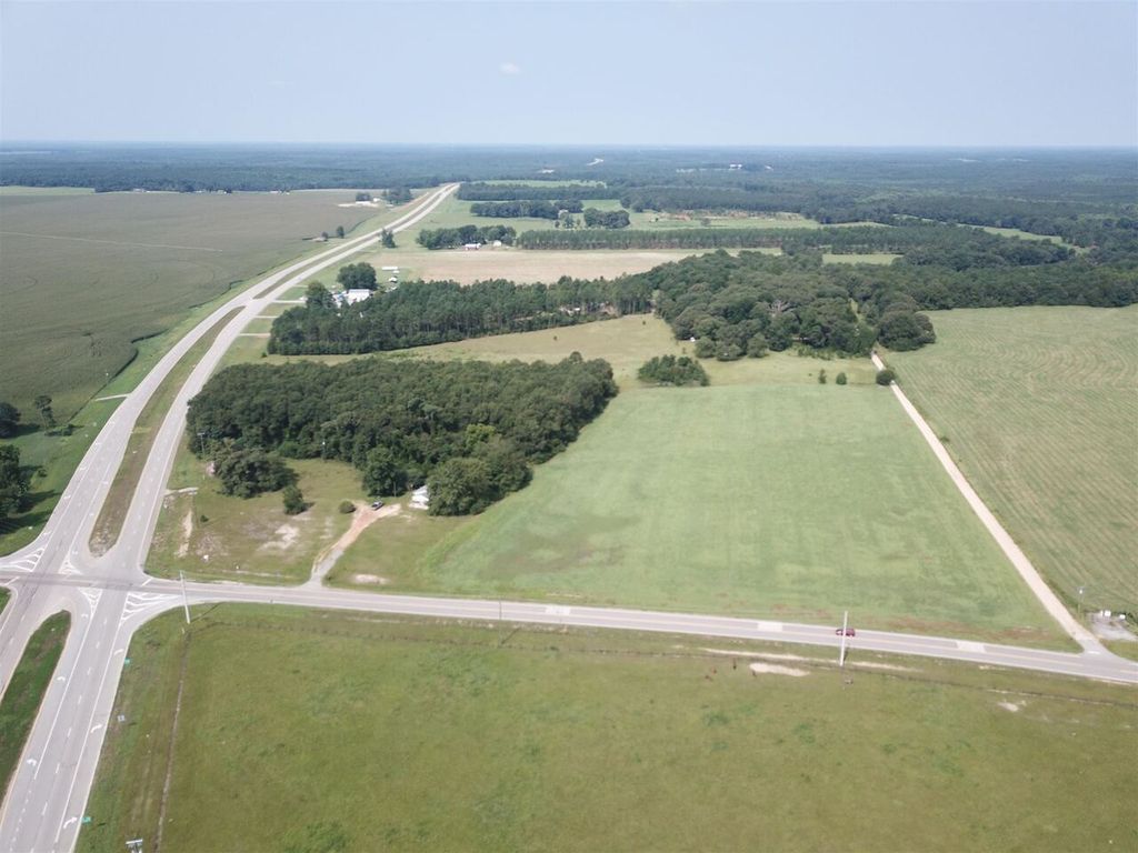 8175 Highway 296, Stapleton, GA 30823