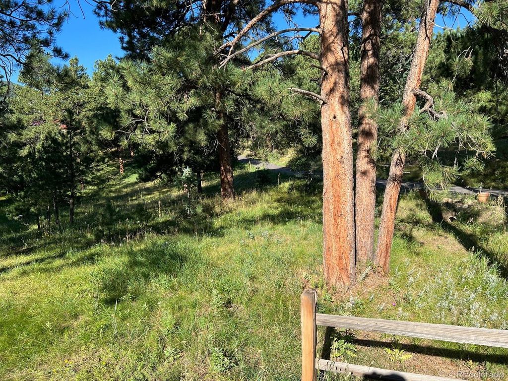 20686 Yoke Trail, Morrison, CO 80465 Trulia