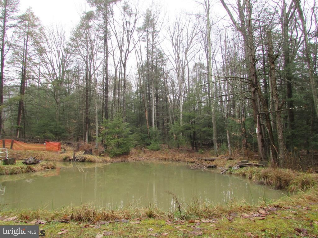 117 Sinking Dr, Rebersburg, PA 16872 Trulia