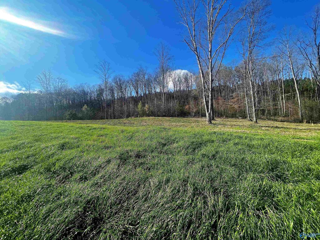 Lot 10 Thompson Rd 10, Altoona, AL 35952 MLS 1829628 Trulia