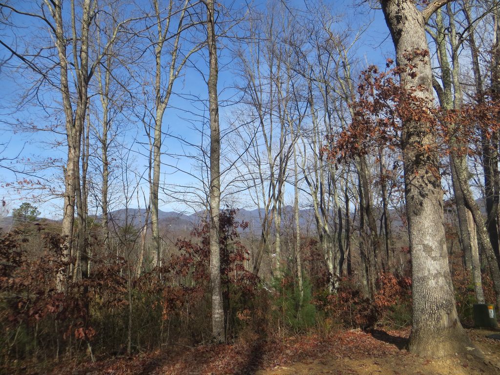 74 Cottage Settings Ln, Black Mountain, NC 28711 Trulia